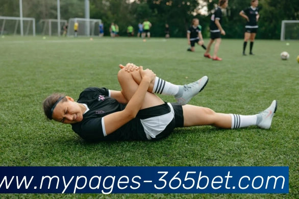 App Interface Preview